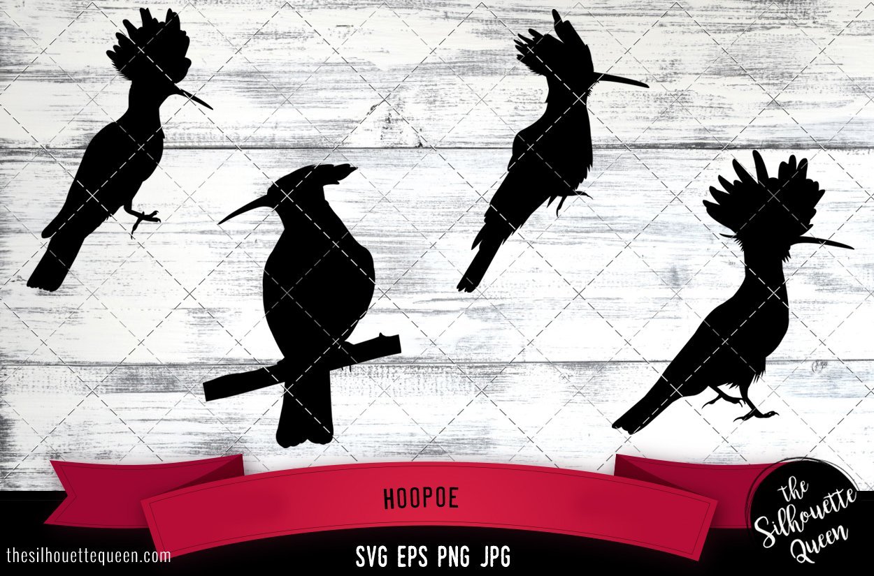 Hoopoe Silhouette Vector cover image.