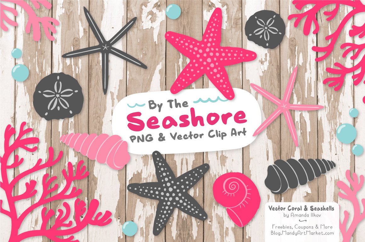 Seashells Clipart in Hot Pink preview image.