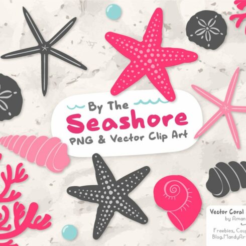 Seashells Clipart in Hot Pink cover image.