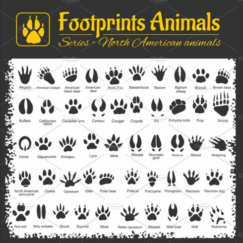 Animal Tracks - North American animals cover image.