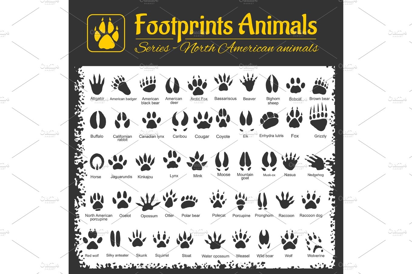 Animal Tracks - North American animals cover image.