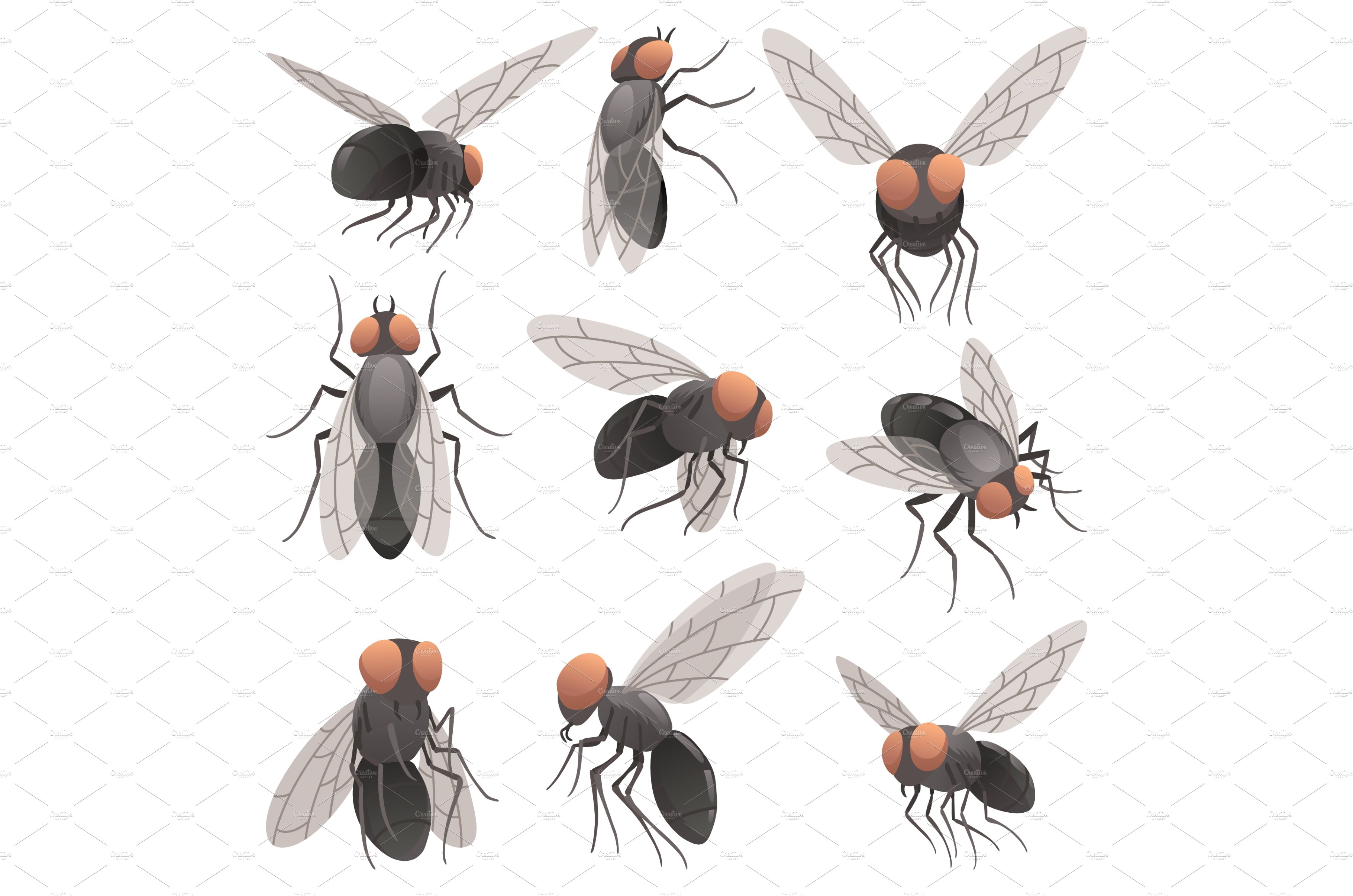 Housefly insect icon set. Wildlife cover image.