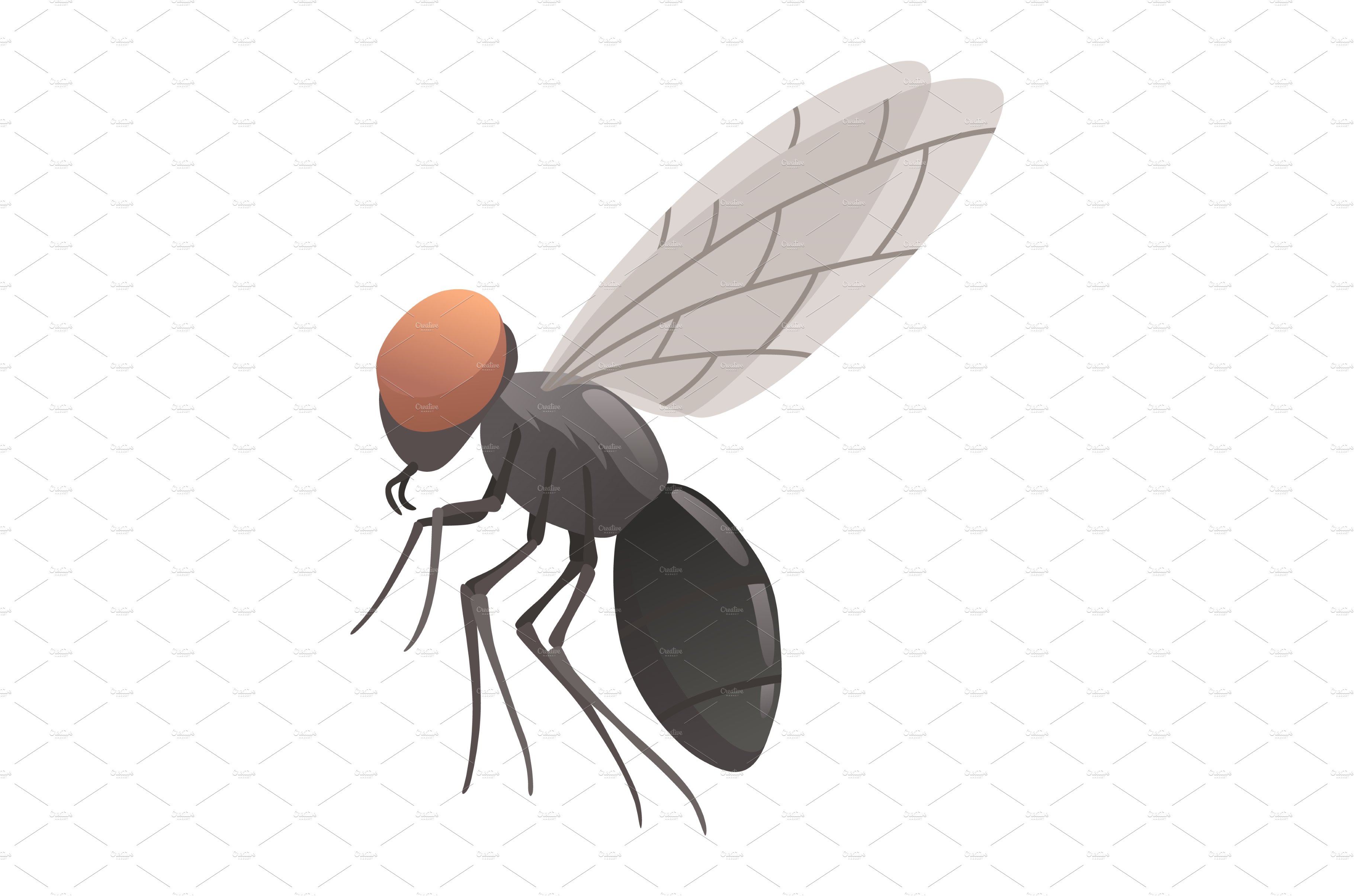 Housefly insect icon. Wildlife cover image.