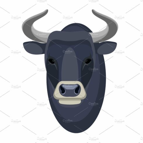 Bull head realistic icon muscular and aggressive male of cow cover image.