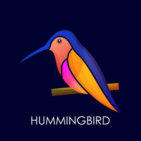 Modern colorful Hummingbird logo design template vector illustration, Bird logo design cover image.