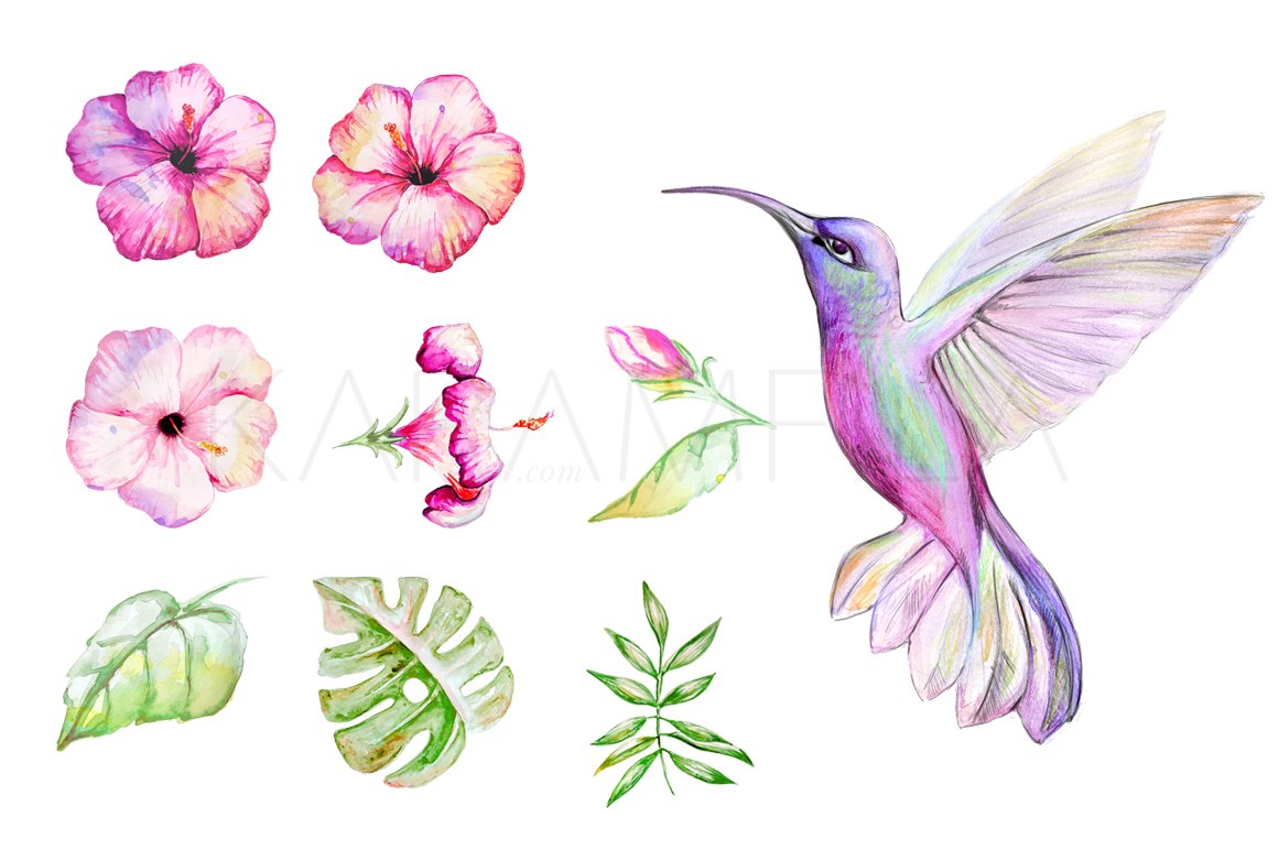 Tropical Clipart preview image.