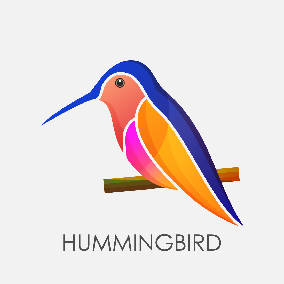Modern colorful Hummingbird logo design template vector illustration, Bird logo design preview image.