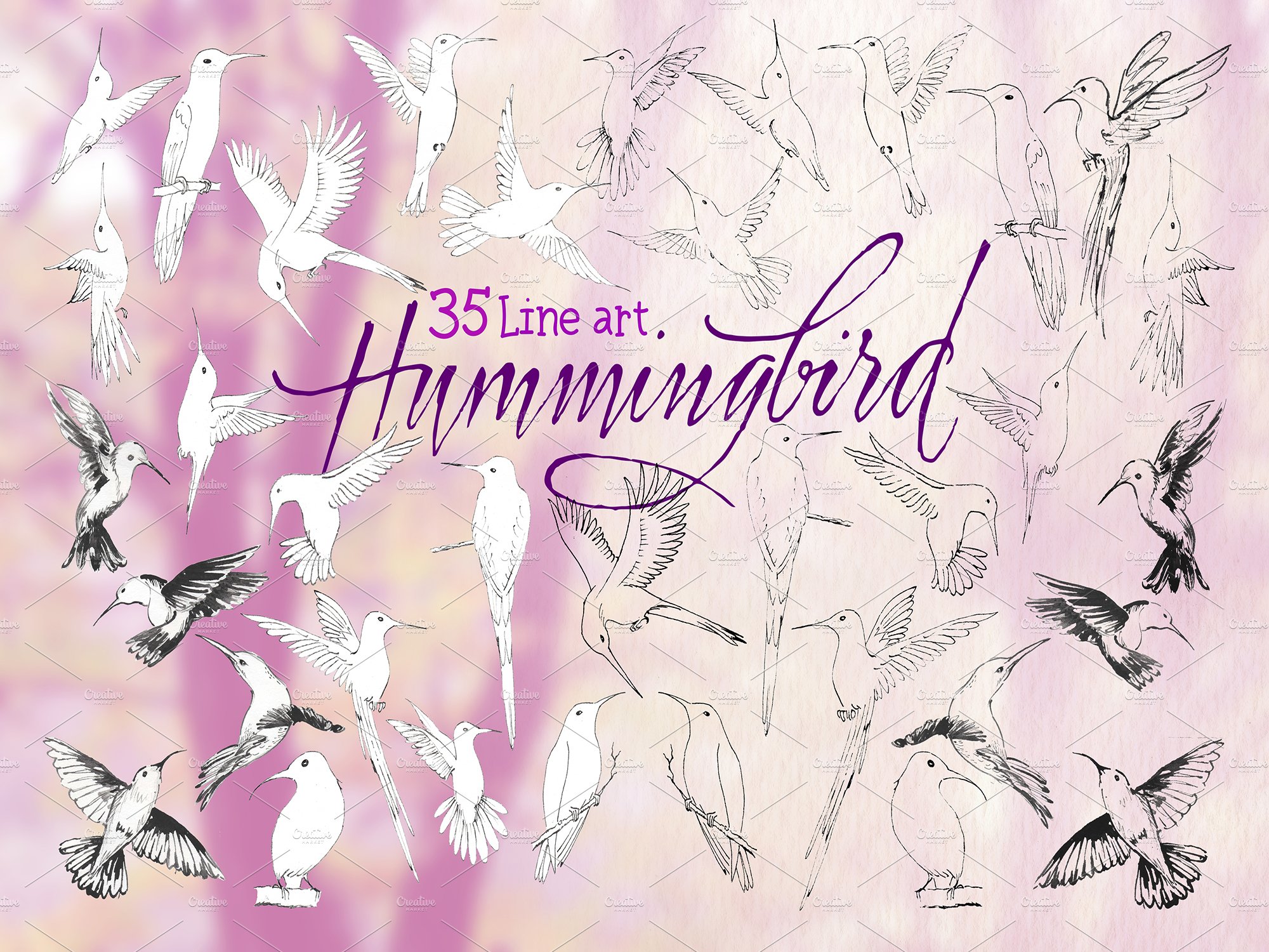 hummingbird3 992