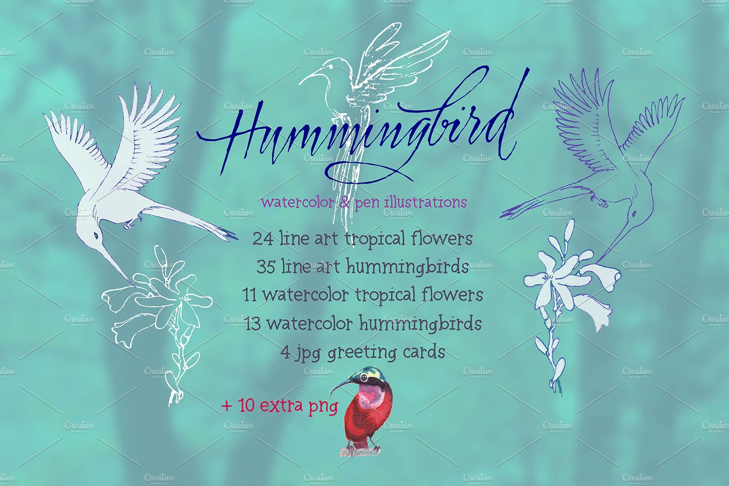 hummingbird5 618