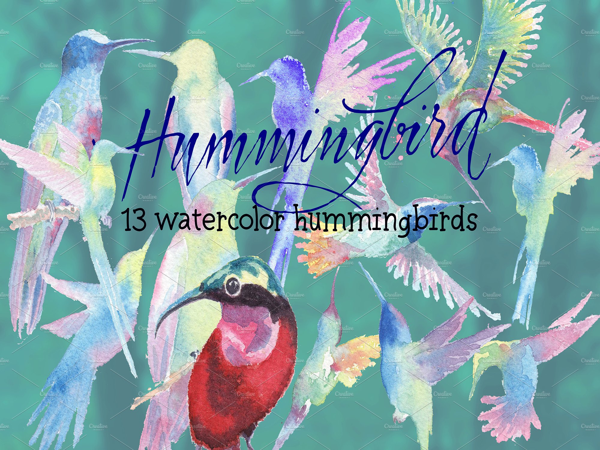 hummingbird6 354