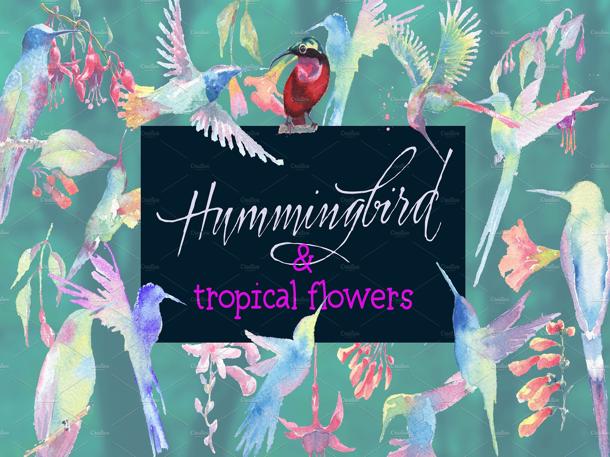 Hummingbird & tropical flowers preview image.