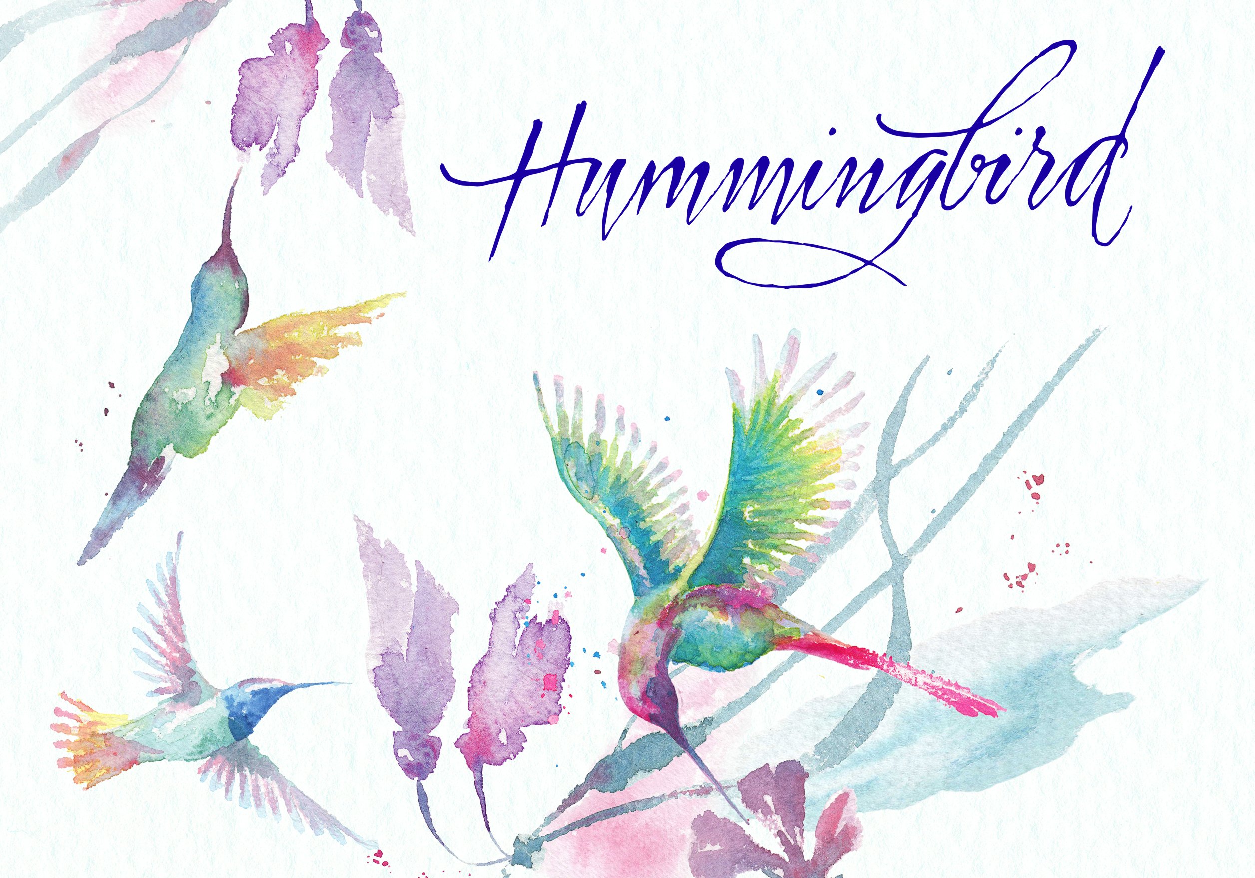 Hummingbird & tropical flowers cover image.