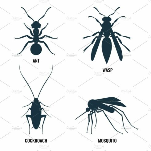 Ant and wasp, cockroach and mosquito vector illustration cover image.