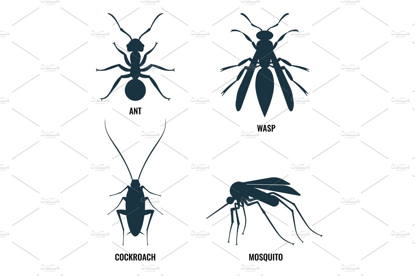 Ant and wasp, cockroach and mosquito vector illustration cover image.