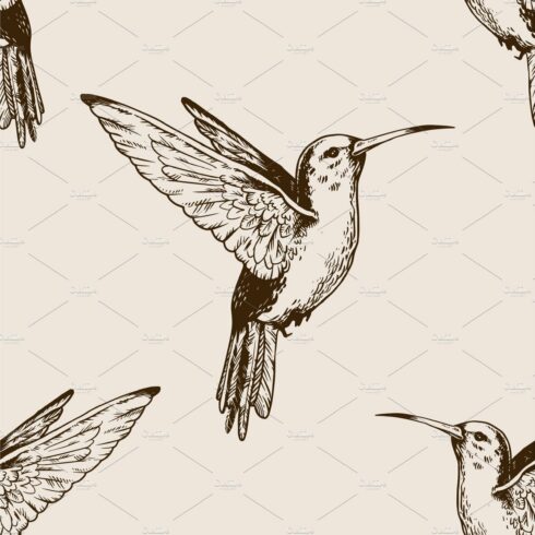 Humming bird seamless pattern engraving vector cover image.
