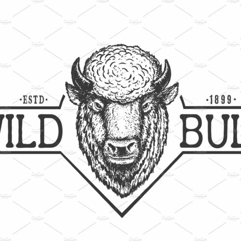 Wild bull cover image.