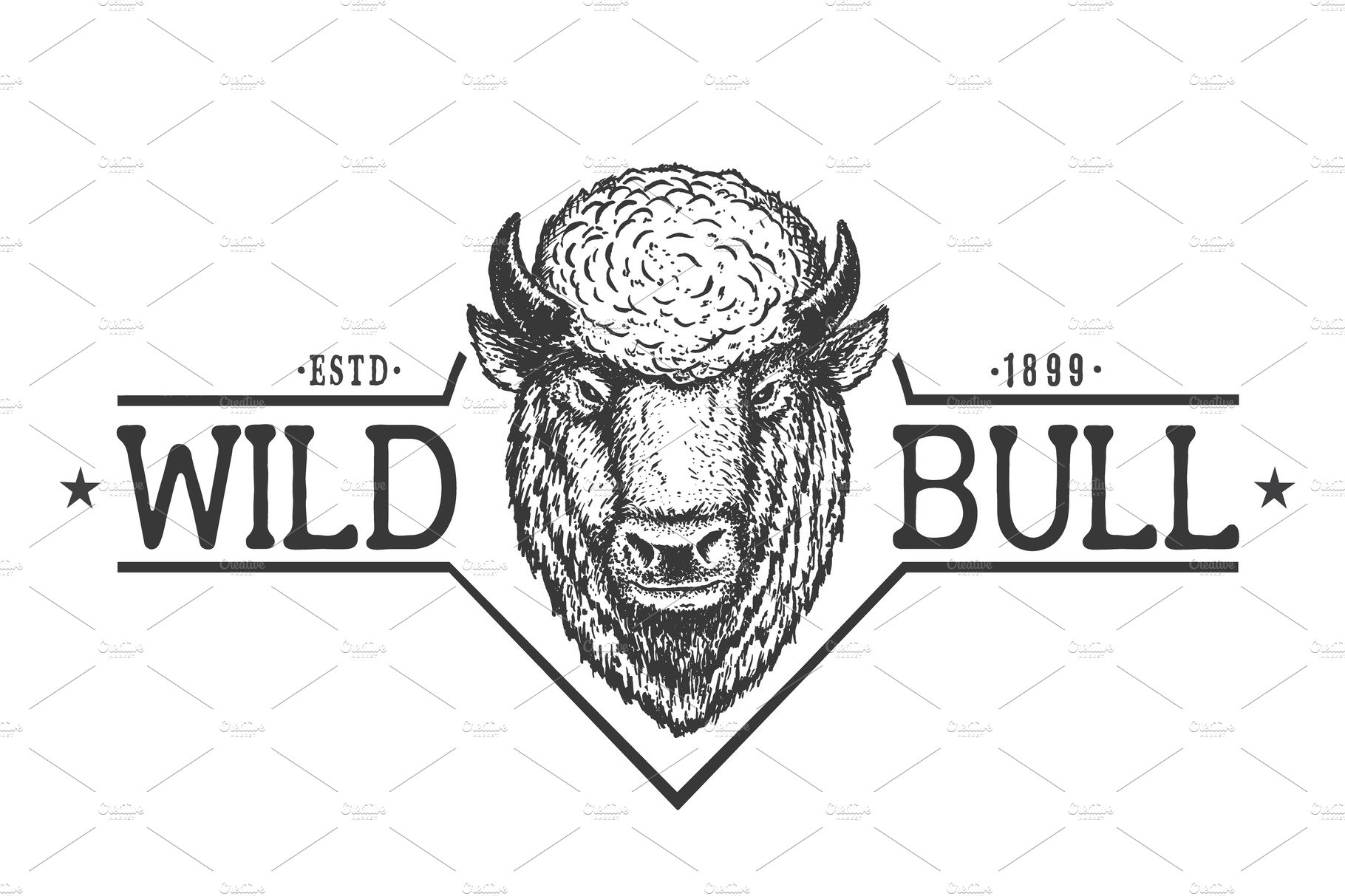 Wild bull cover image.