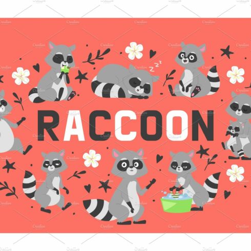 Raccoon in different positions doing cover image.