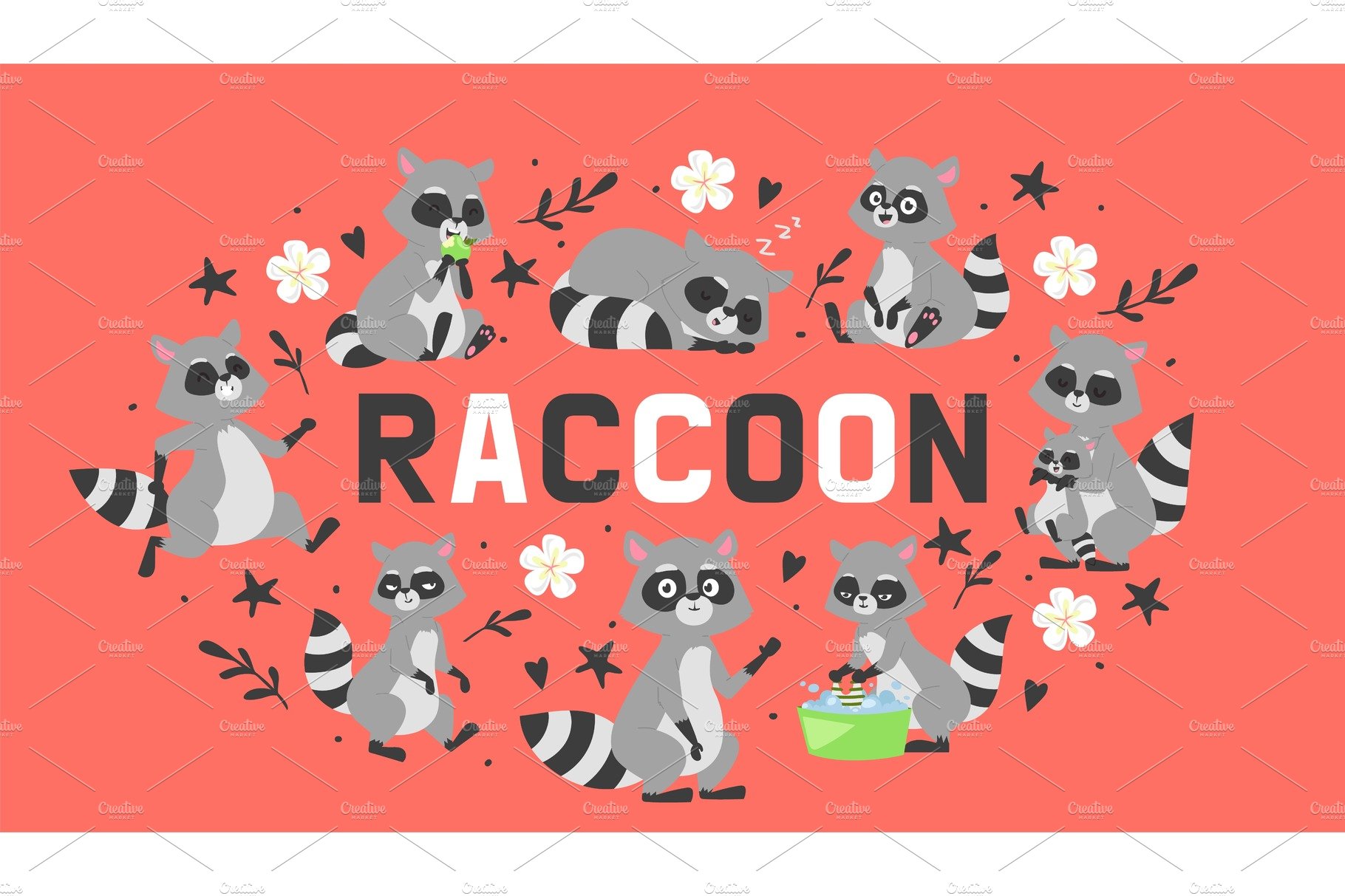 Raccoon in different positions doing cover image.