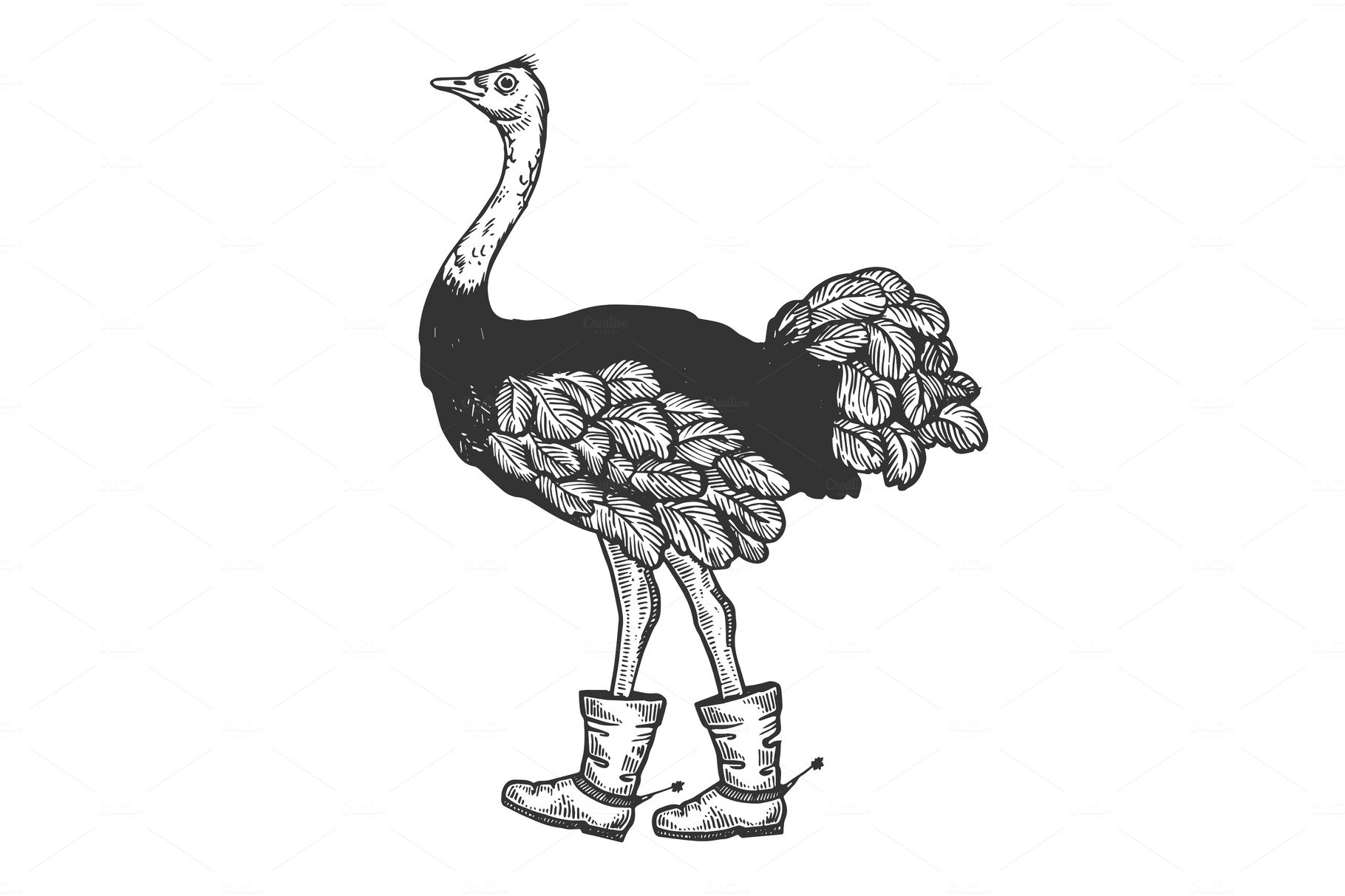 Ostrich in boots with spur animal engraving vector cover image.
