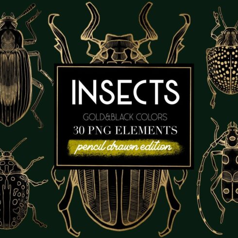 Insects Clip Art ( Pencil Drawn ) cover image.