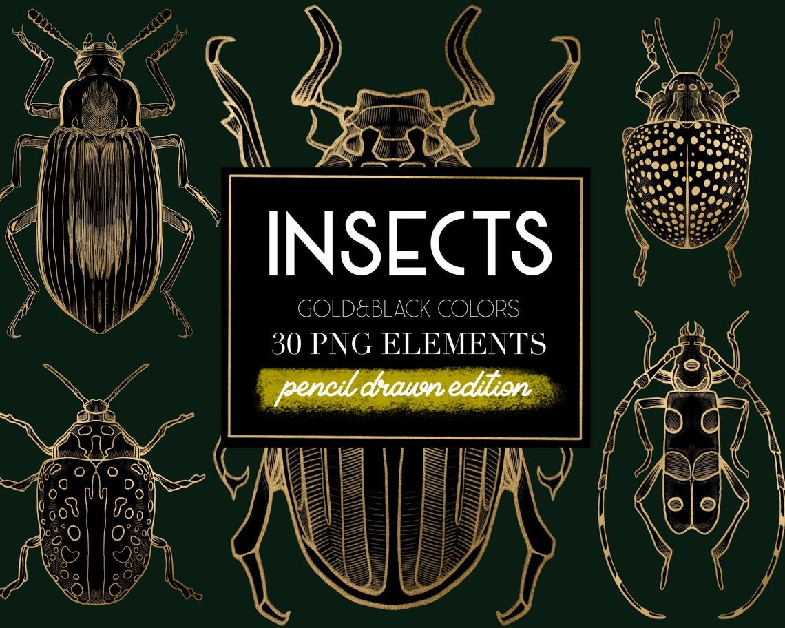 Insects Clip Art ( Pencil Drawn ) cover image.