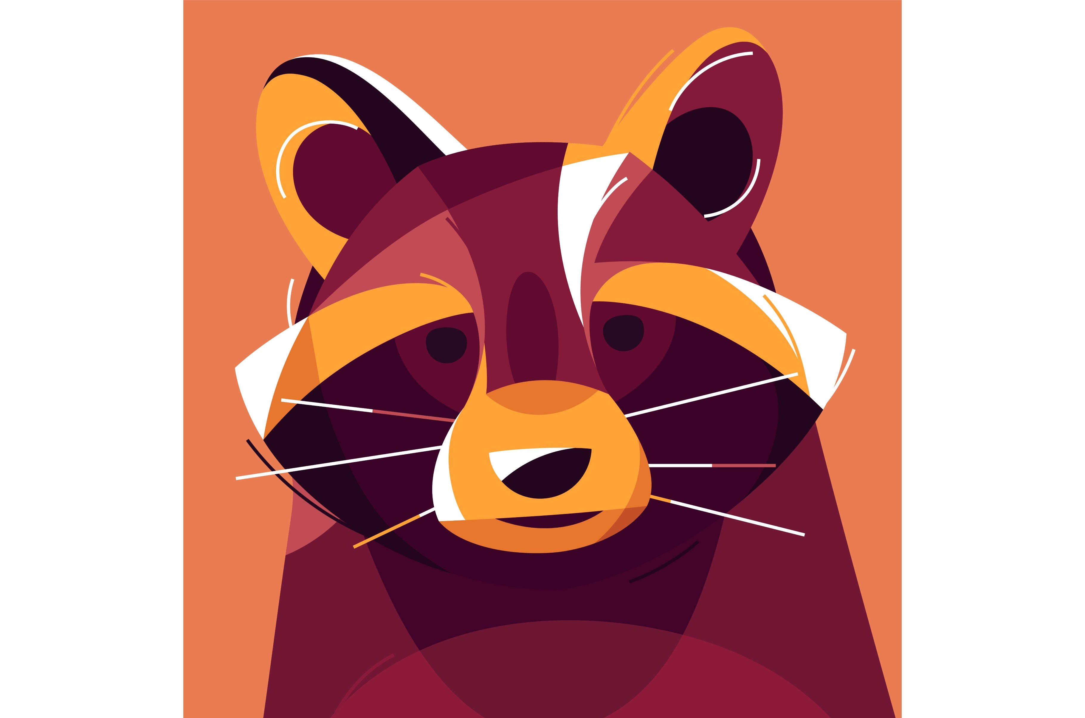 Racoon portrait colorful vector cover image.