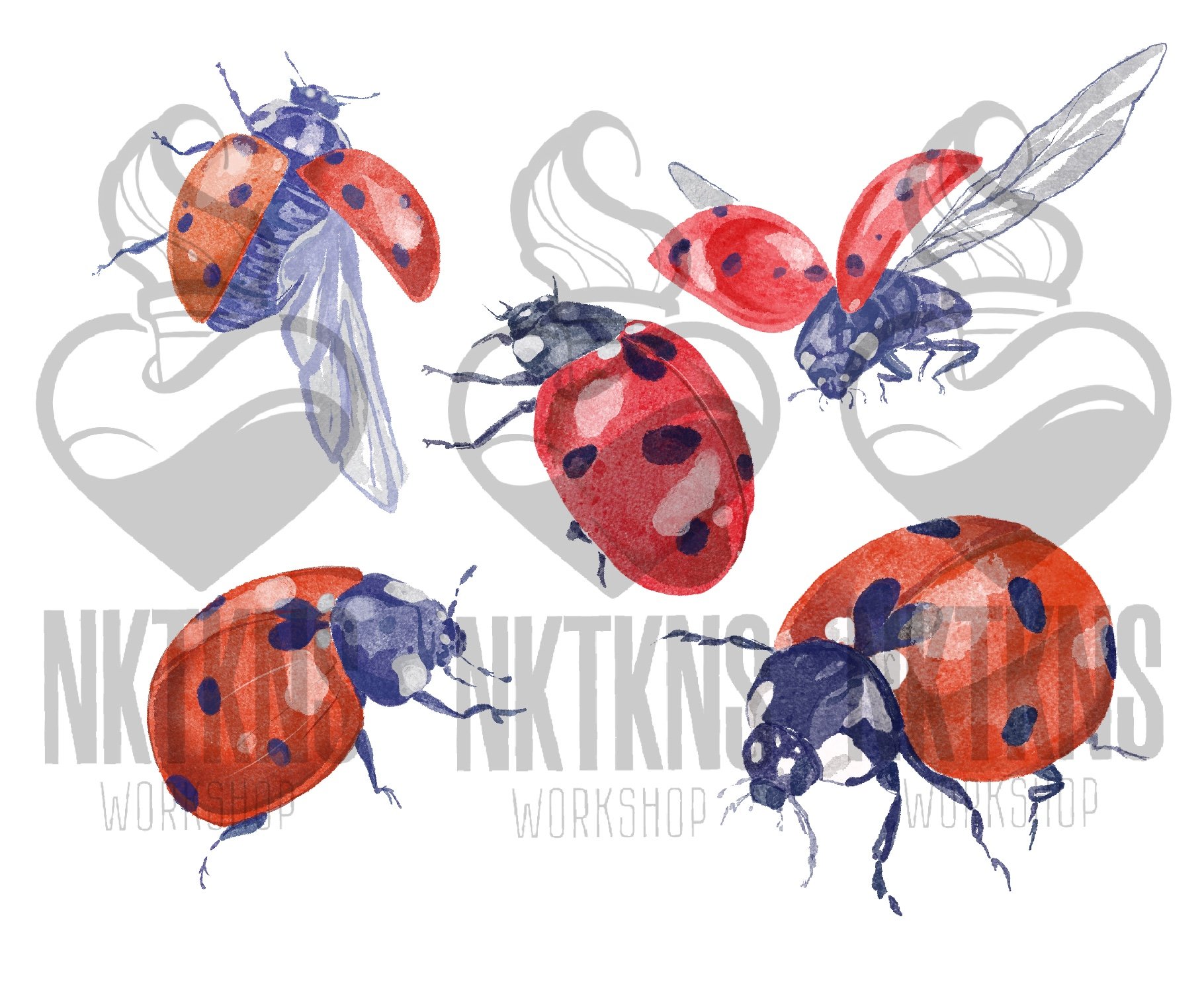Insect Watercolor clipart. preview image.