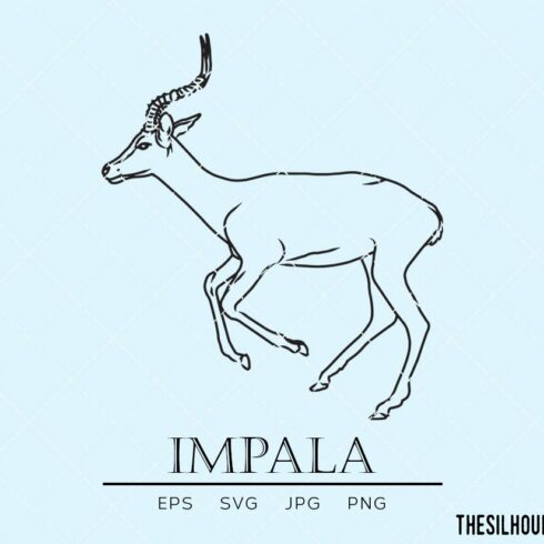Impala Sketch cover image.