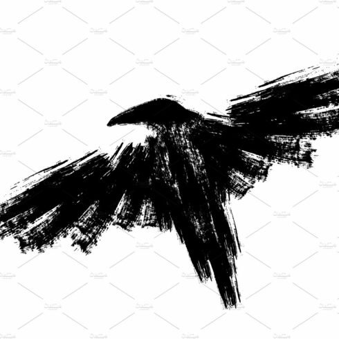 Black raven. Ink crow. cover image.