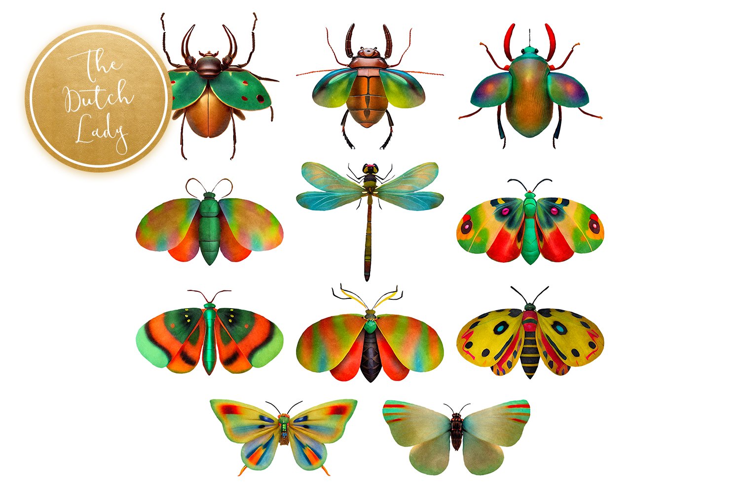 insect clipart set 578