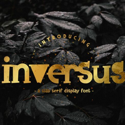 Inversus – a slab serif display font cover image.