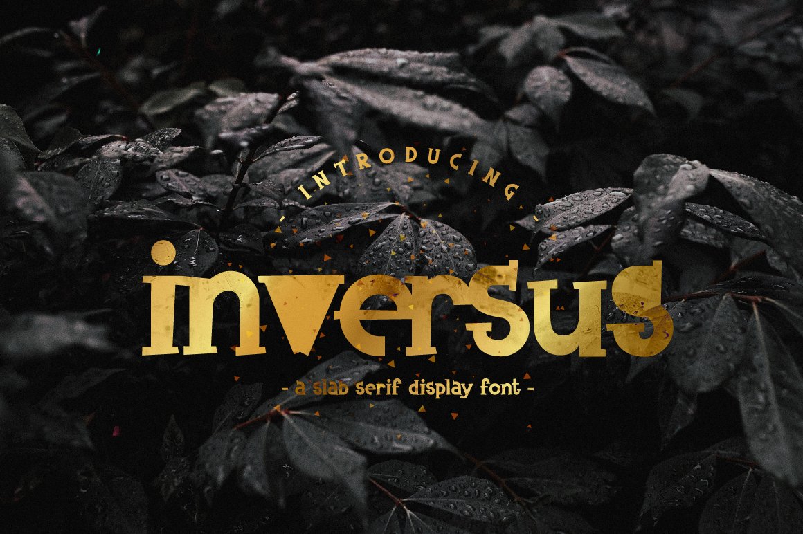 Inversus – a slab serif display font cover image.