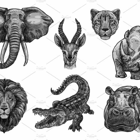 Wild animals vector sketch icons for African zoo cover image.
