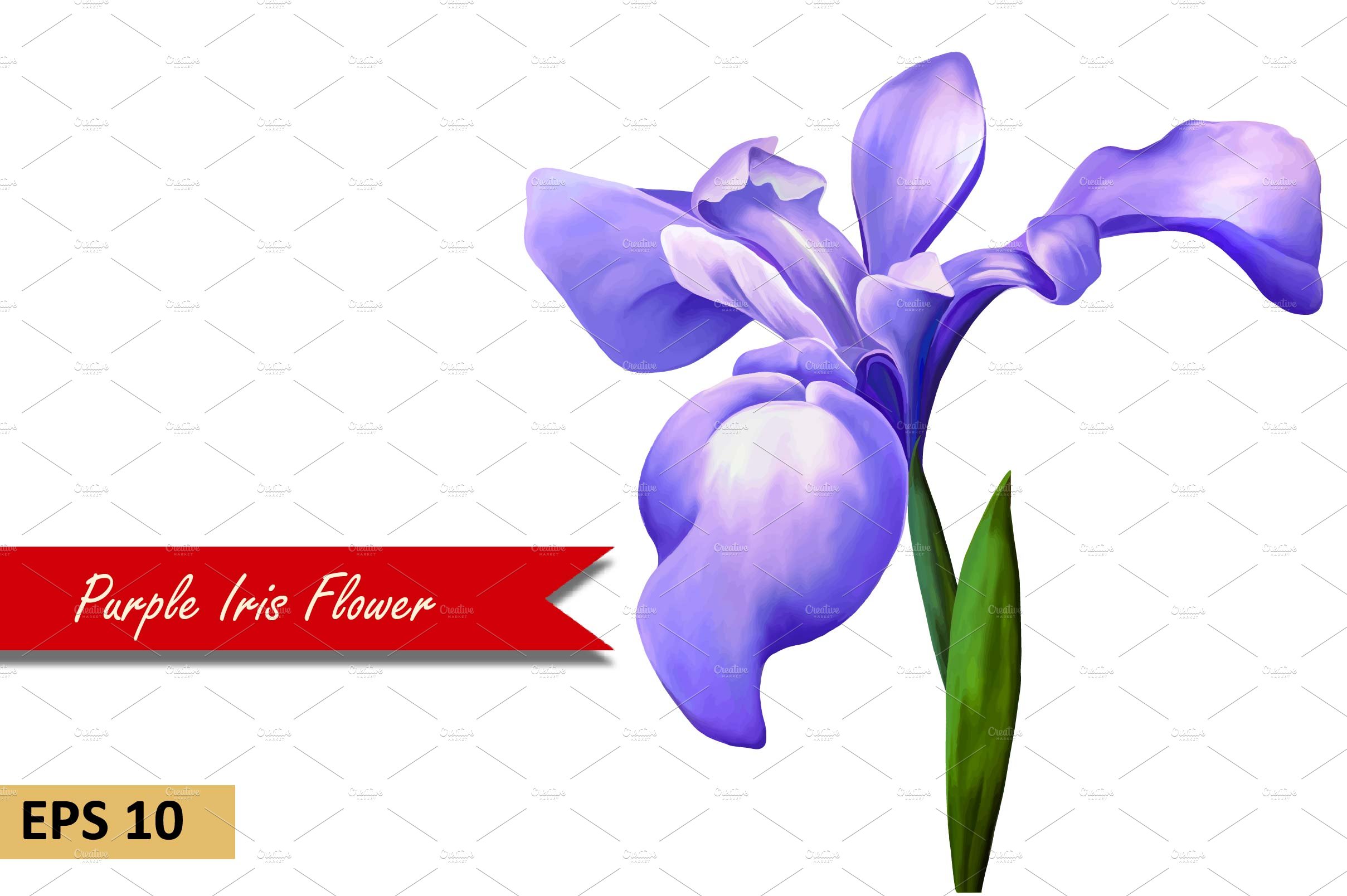 Purple Iris Flower. Vector cover image.