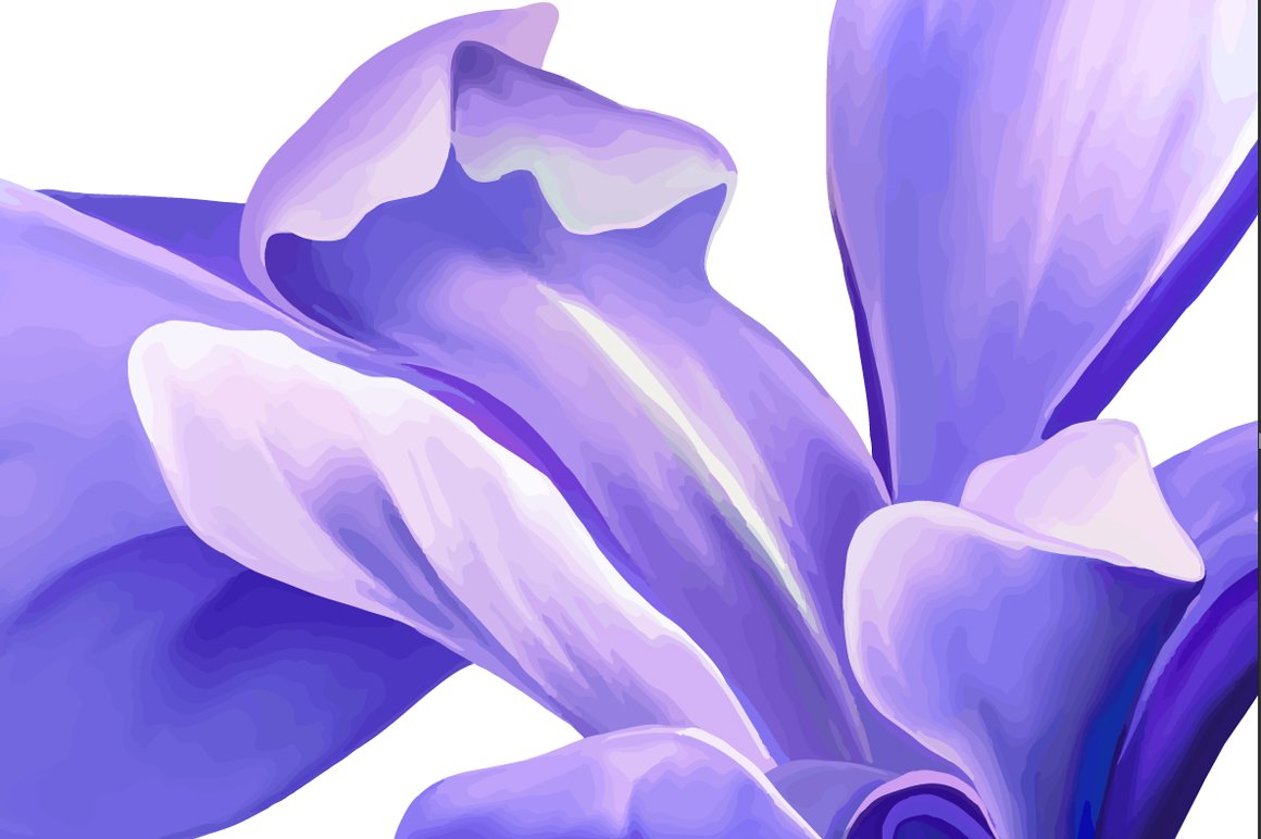Purple Iris Flower. Vector preview image.