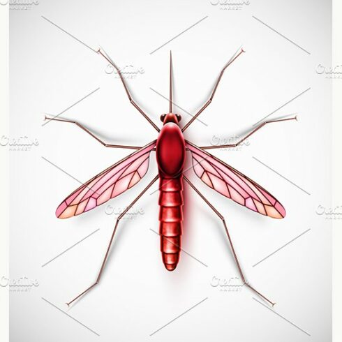 Isolated Mosquito cover image.
