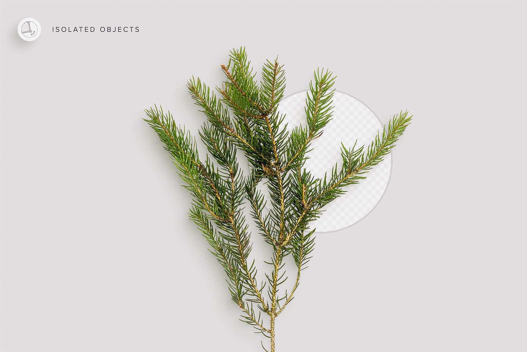 isolated objects evergreen feature isolatedobjects customscene 606