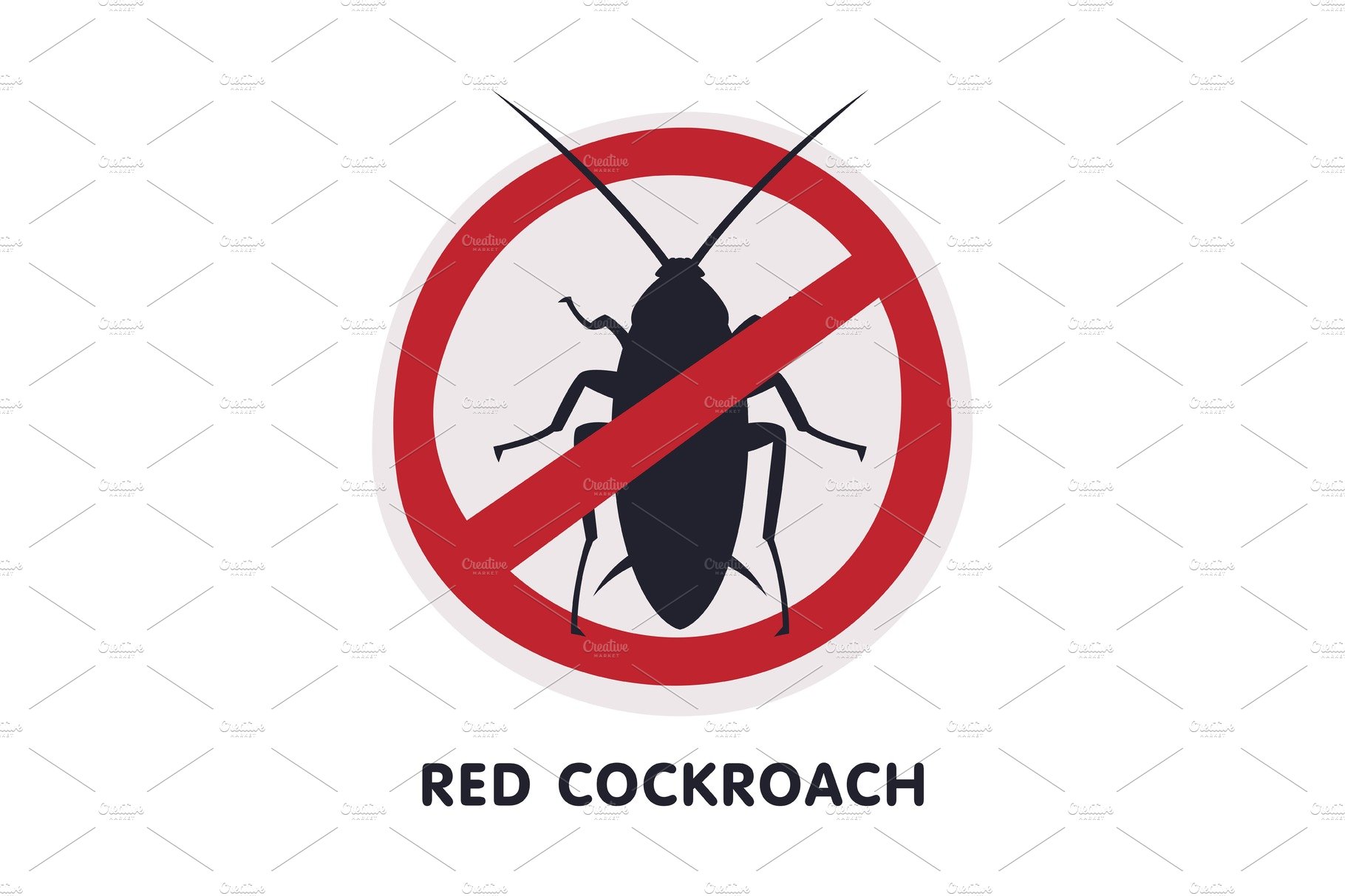 Red Cockroach Harmful Insect cover image.