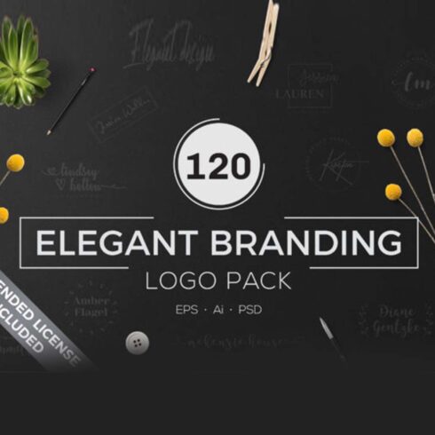 Elegant Branding Logo Pack cover image.