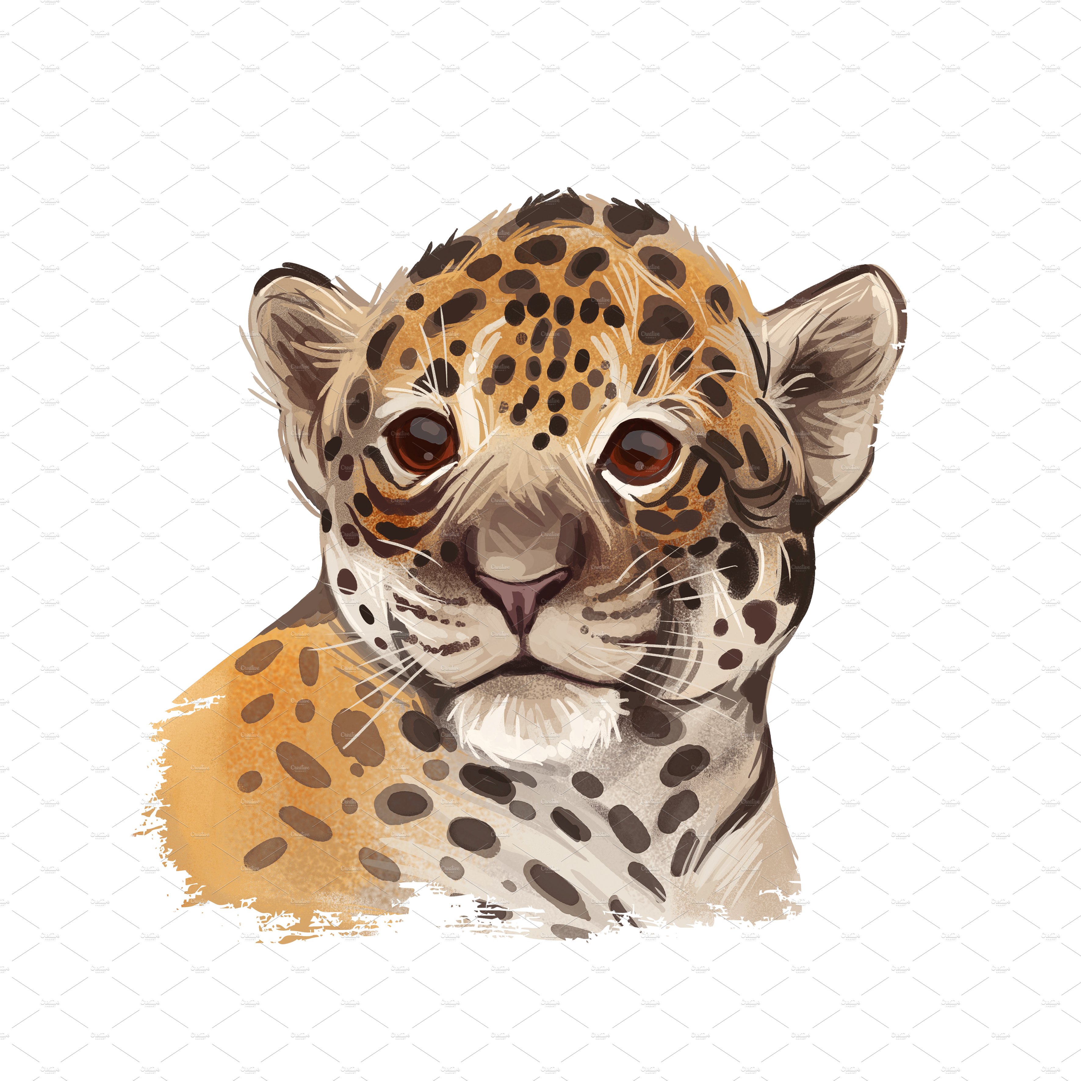 jaguar baby 3 1 53