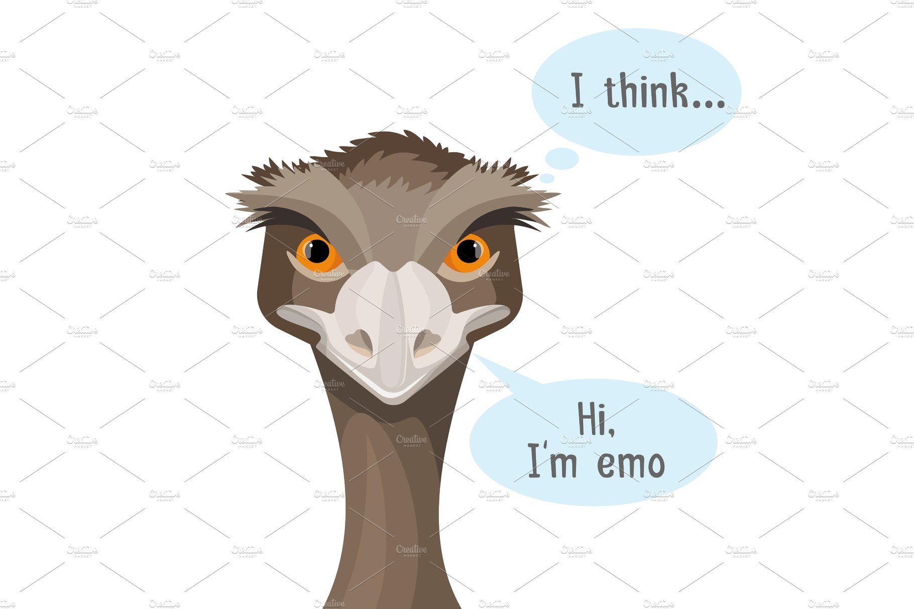 Emu isolated on white background with speech bubbles cover image.