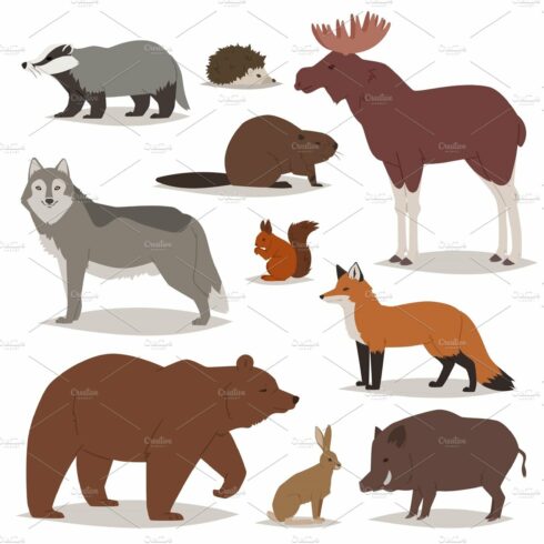 Forest animals vector cartoon animalistic characters bear fox and wild wolf... cover image.