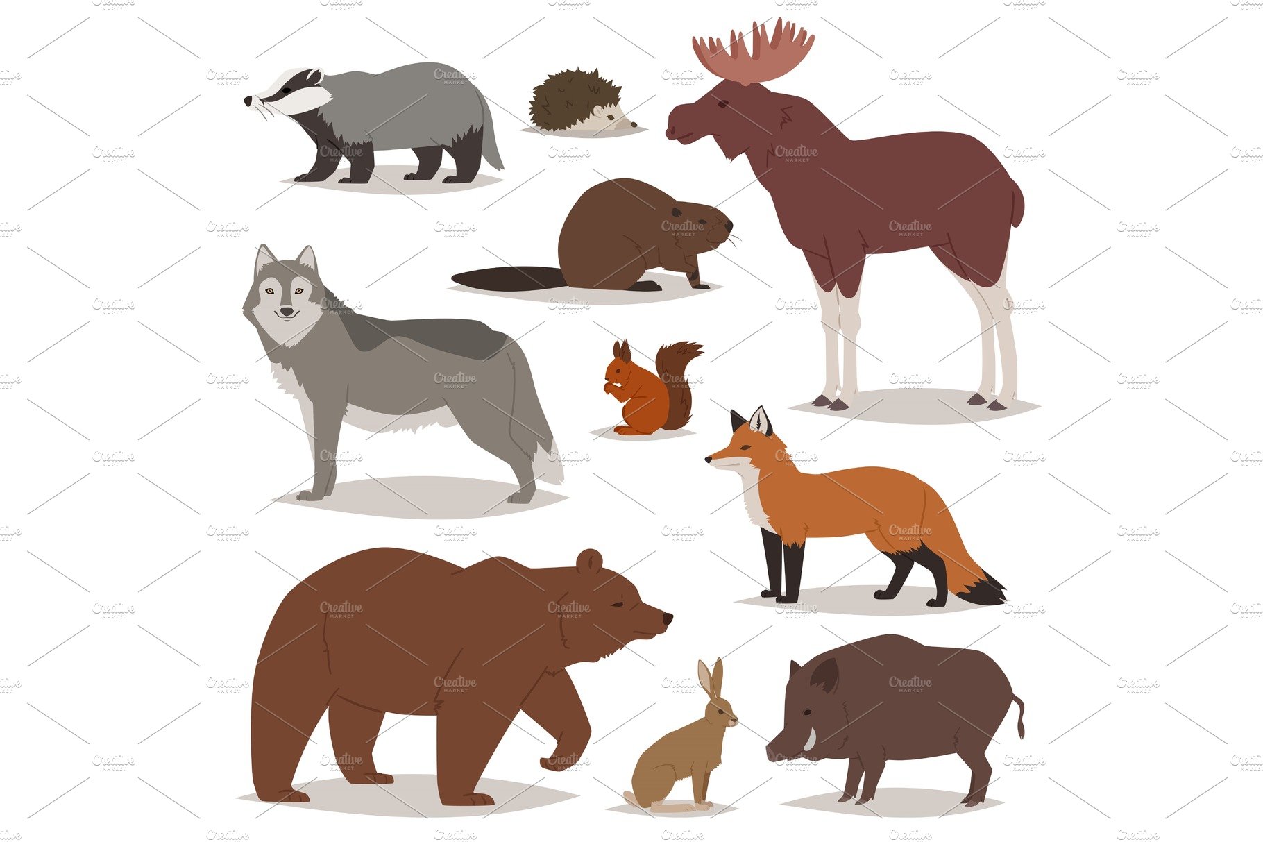 Forest animals vector cartoon animalistic characters bear fox and wild wolf... cover image.