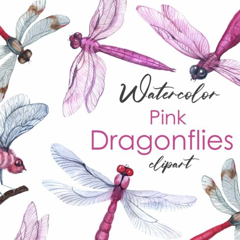 Watercolor Clipart Digital dragonfly cover image.