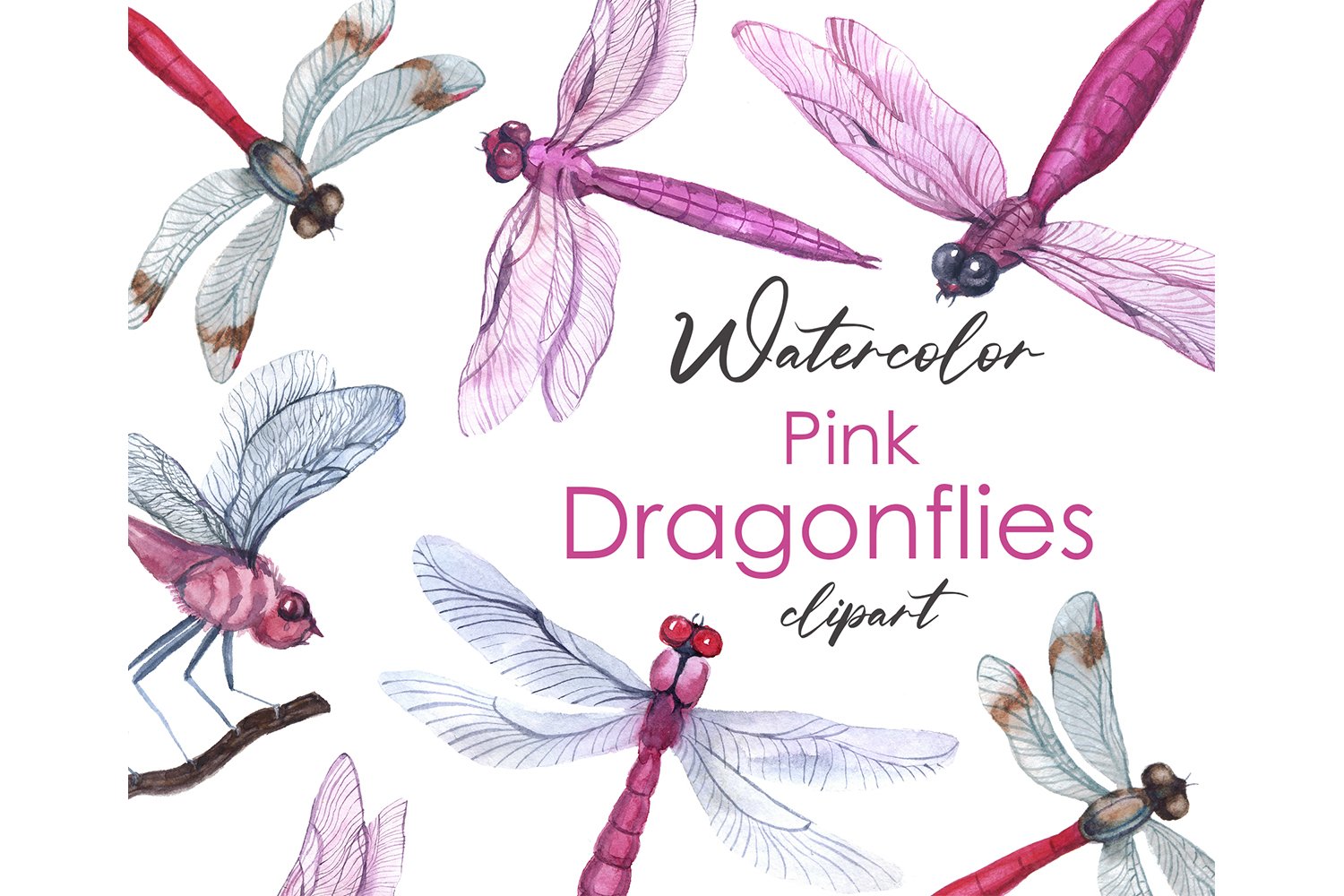 Watercolor Clipart Digital dragonfly cover image.