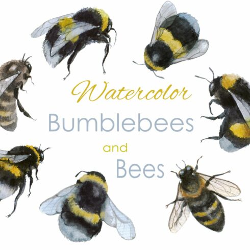 Bee clipart. Bumble bee. Watercolor cover image.