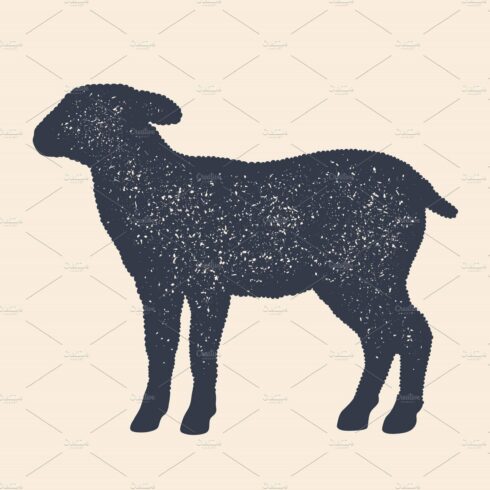 Lamb, sheep. Concept design of farm cover image.