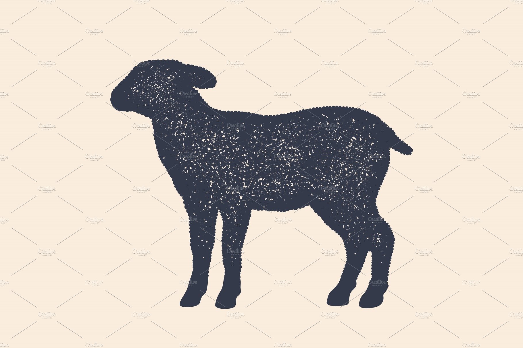 Lamb, sheep. Concept design of farm cover image.