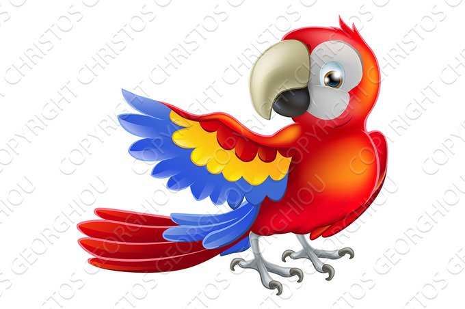 Red macaw parrot illustration cover image.